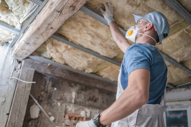 Best Insulation Maintenance and Repair in Zeeland, MI