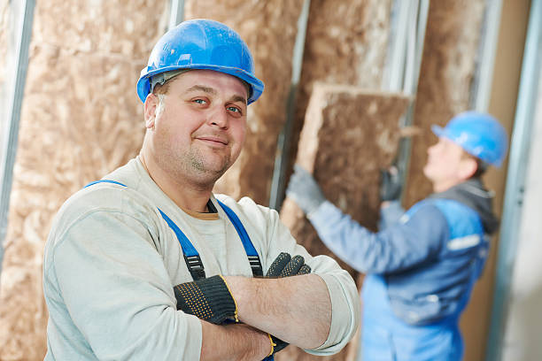 Best Insulation Installation Services in Zeeland, MI